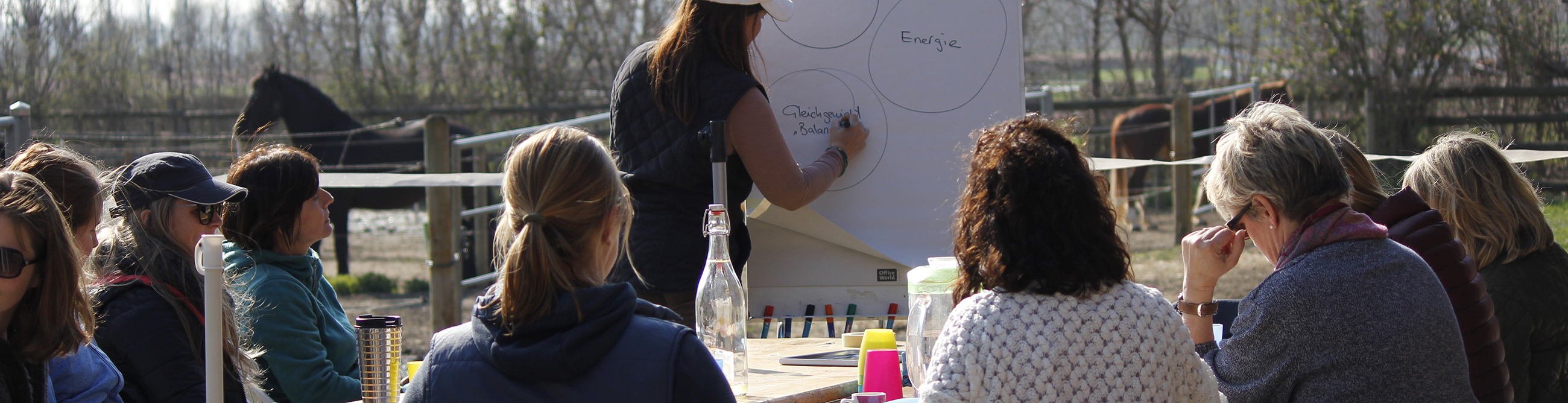 coaching entreprises et groupes avec chevaux suisse romande carmen zulauf
