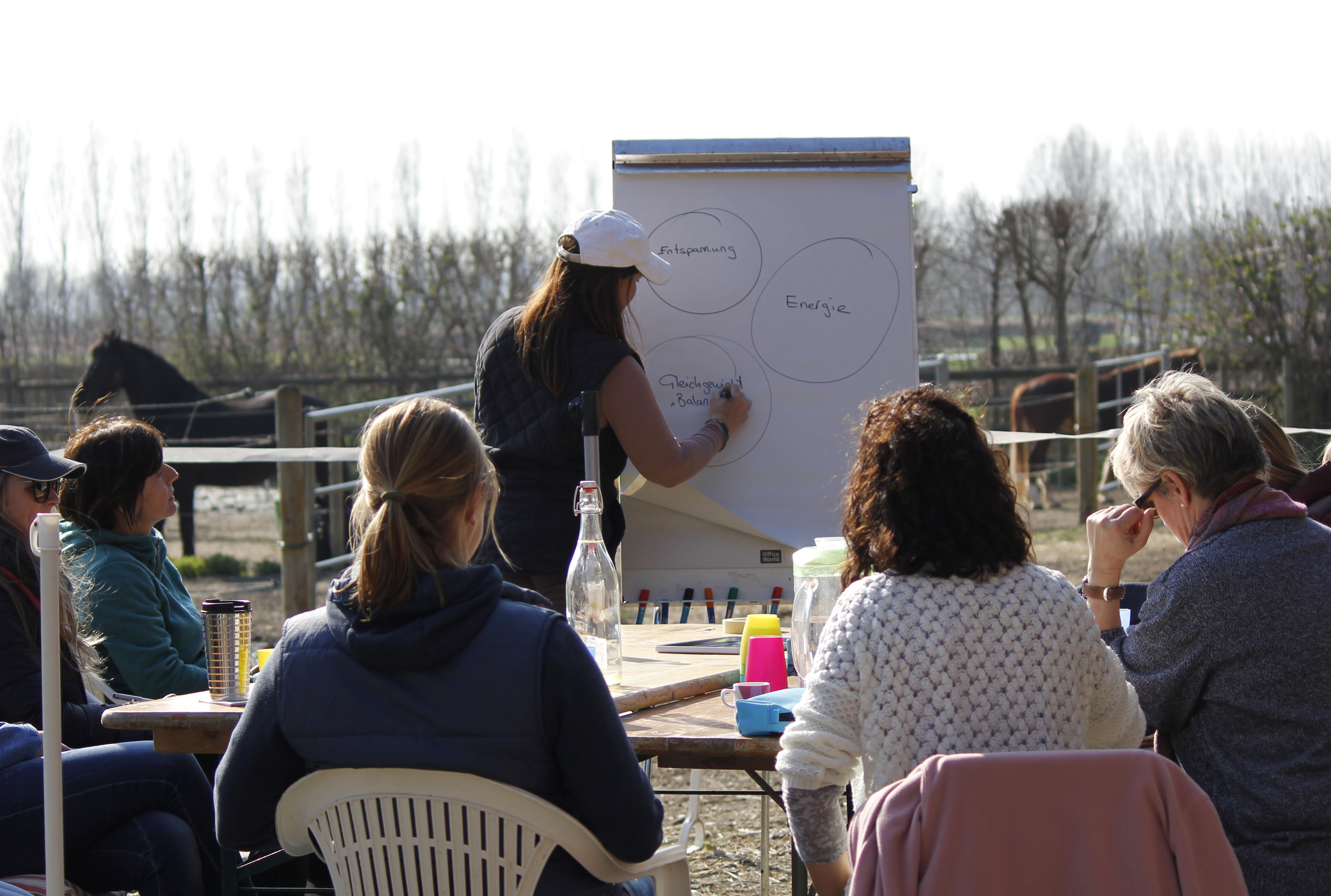 coaching entreprises et groupes avec chevaux suisse romande carmen zulauf