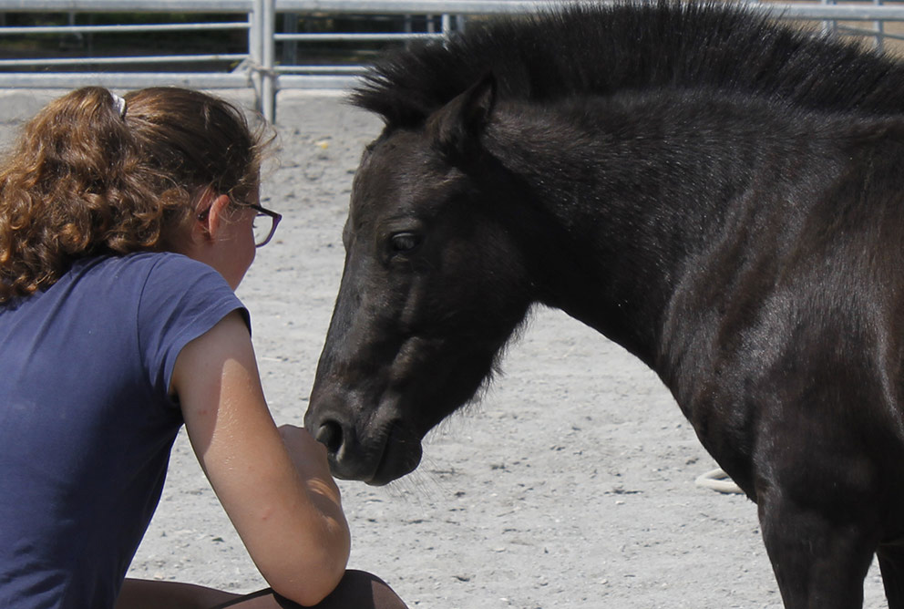 accompagnement personnes auprès de chevaux 