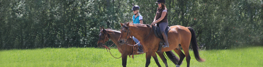 02_prestations_equestres