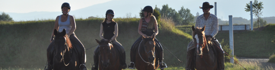 05a_chevaux_stage_longue_duree