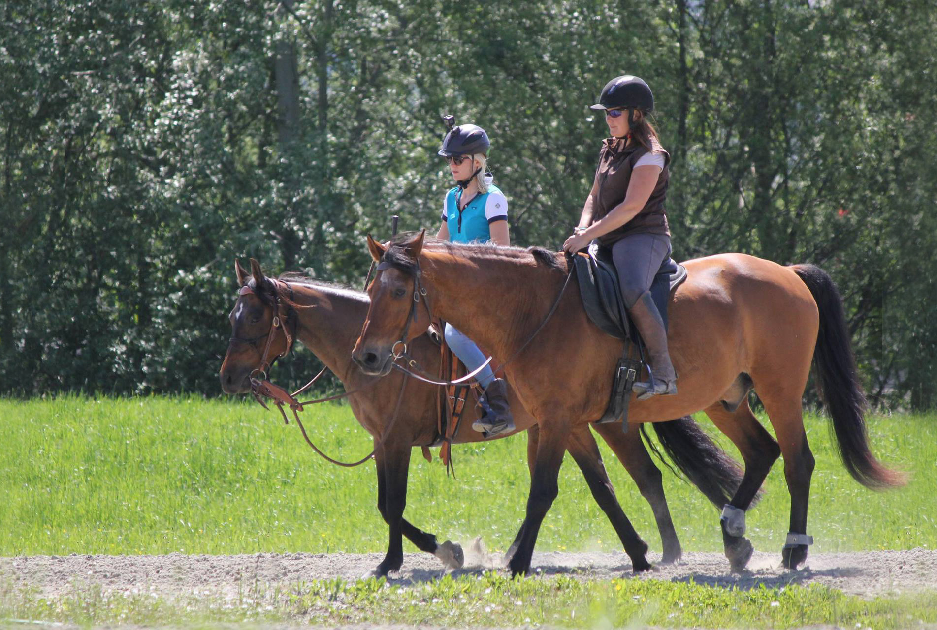 prestations cheval