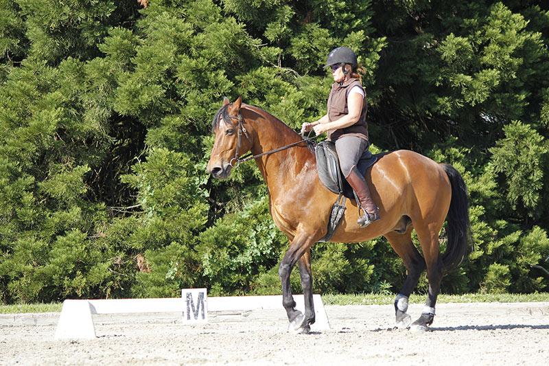 cours équitation pour enfants les dudes