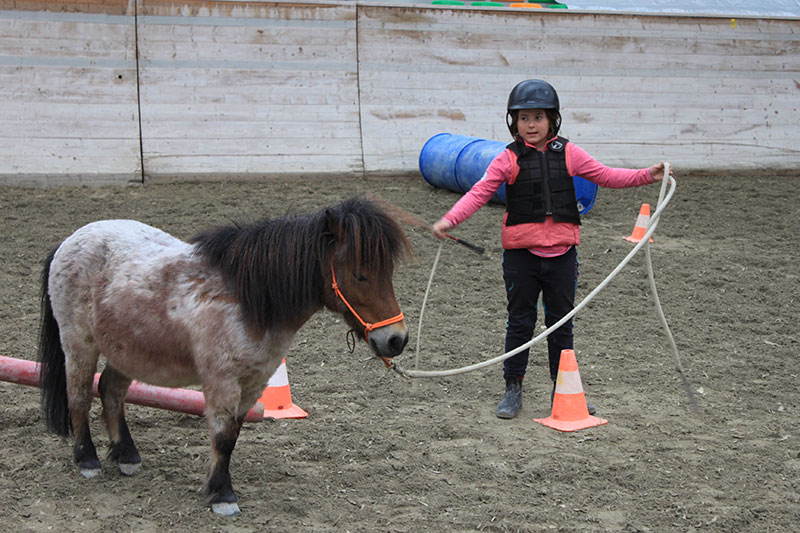 cours équitation pour enfants les dudes