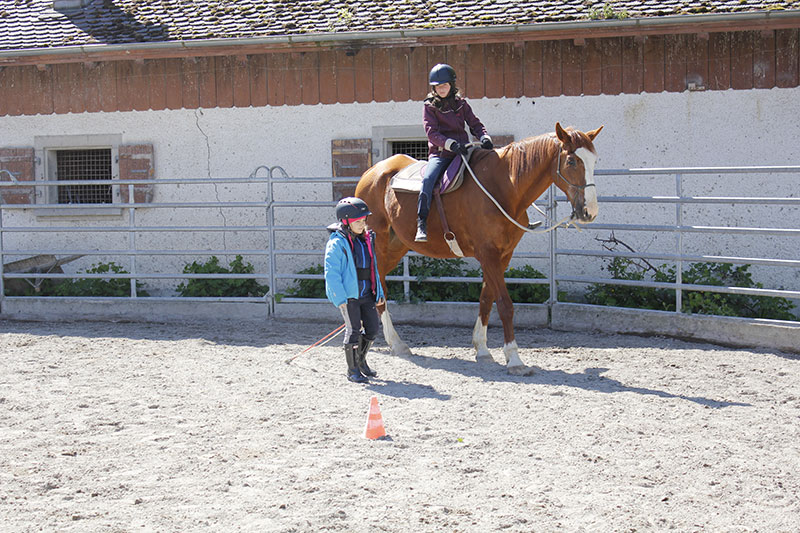 cours équitation pour enfants les dudes